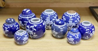Nine Chinese blue and white ‘prunus blossom’ ginger jars