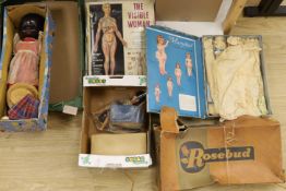 Three boxed dolls, The Visible Women and Cindy with cased clothes