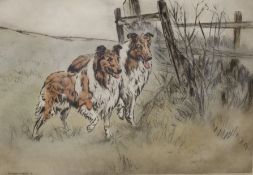 Henry Wilkinson (1921-2011), coloured drypoint etching, 'Rough Collies', signed in pencil, 16/250,