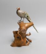 A Japanese? white metal and polychrome enamelled model of a pheasant on a root wood stand, bird 24.