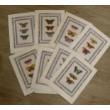 19th century French School, a set of ten hand coloured engravings, Studies of butterflies, 24 x