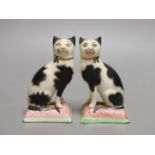 A pair of black and white Staffordshire cats - 10.5cm tall