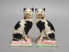 A pair of black and white Staffordshire cats - 10.5cm tall
