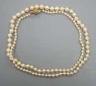 A singe strand graduated cultured pearl necklace with yellow metal clasp, 64cm, gross weight 20.3