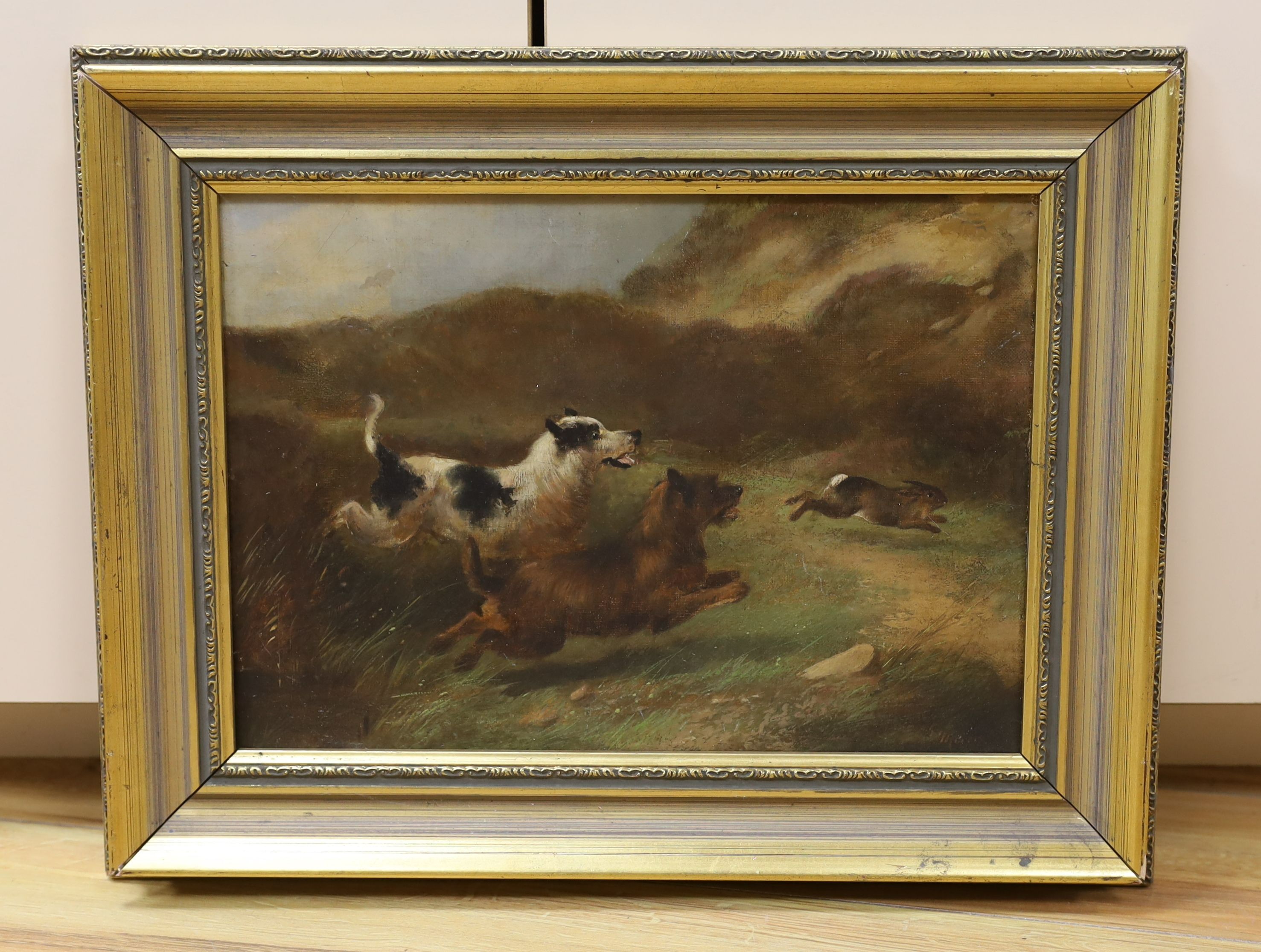 Charles Morris (19th century), oil on canvas, Terriers chasing a rabbit, signed, 24 x 34cm - Image 2 of 4