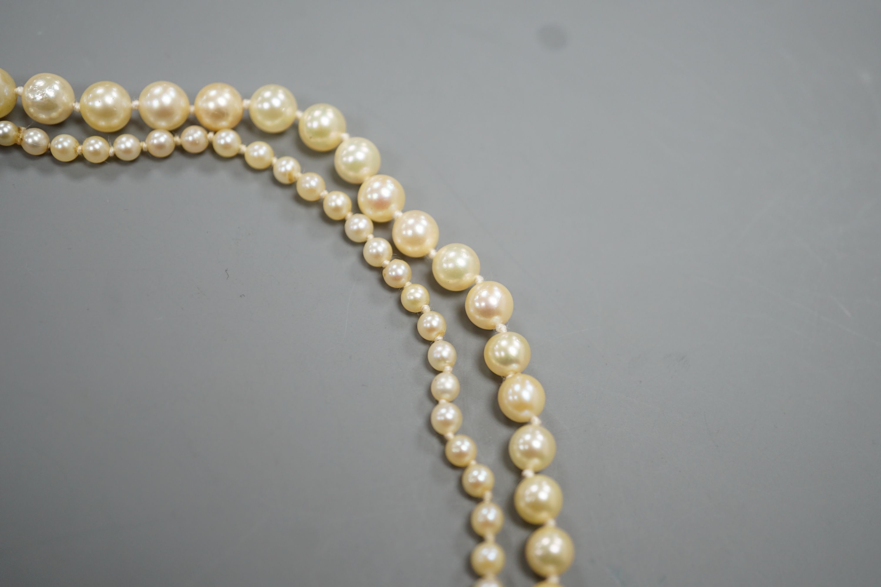 A singe strand graduated cultured pearl necklace with yellow metal clasp, 64cm, gross weight 20.3 - Image 3 of 3