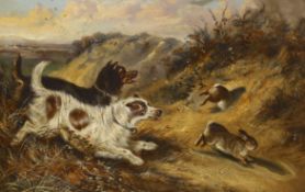 Robert Cleminson (1864-1903), oil on canvas, Terriers chasing rabbits, signed, dated 1879, 28 x