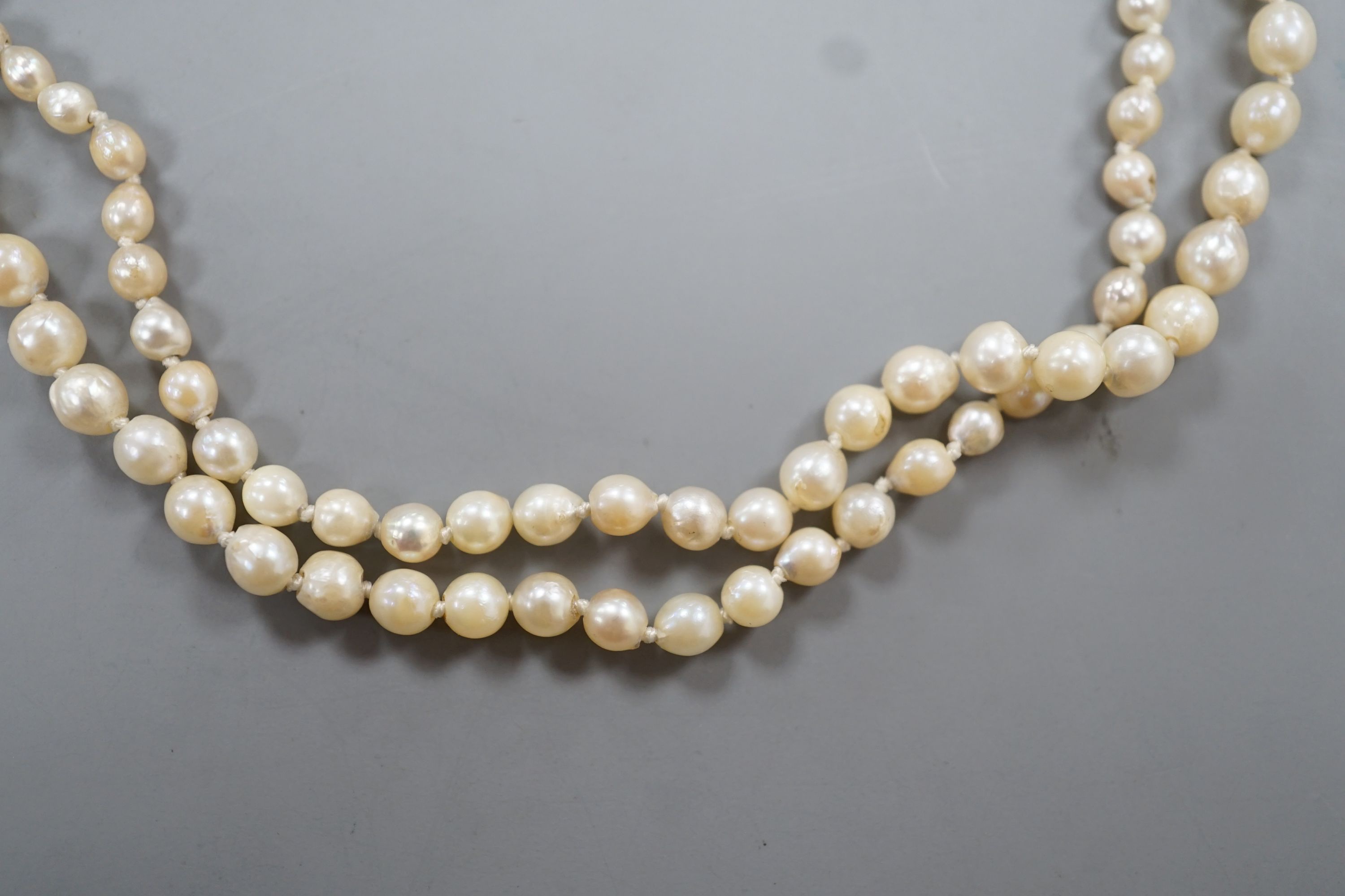 A single strand graduated cultured pearl necklace, with diamond chip set white metal clasp, 54cm, - Image 3 of 3