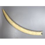 A 19th-century Luango tribal carved ivory tusk, Democratic Republic of Congo