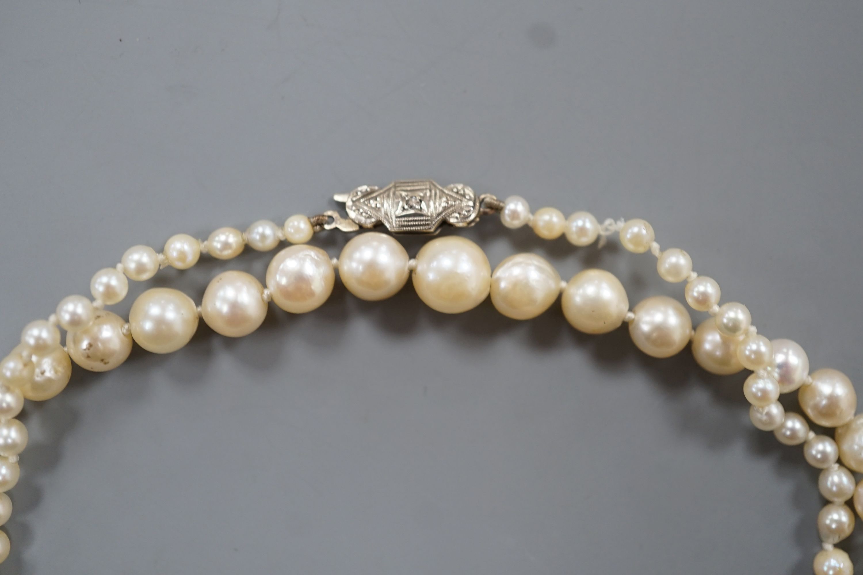 A single strand graduated cultured pearl necklace, with diamond chip set white metal clasp, 54cm, - Image 2 of 3