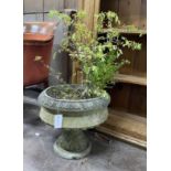 A circular reconstituted stone garden planter, diameter 40cm, height 38cm