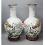 A pair of large Chinese famille rose peacock inscribed vases - 50cm tall
