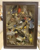 A late 19th / early 20th century North America taxidermy display of Native birds and chipmunk,