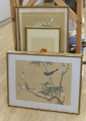 Chinese School, six watercolour and gouache on silk, Studies of birds and flowers, largest 68 x