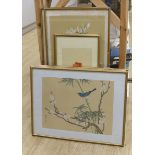 Chinese School, six watercolour and gouache on silk, Studies of birds and flowers, largest 68 x