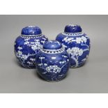 Three 19th century graduated Chinese blue and white ginger jars and covers