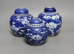 Three 19th century graduated Chinese blue and white ginger jars and covers