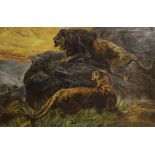 Alice Daniel, oil on canvas, Lions after Herbert Dicksee, signed and dated 1913, 50 x 75cm