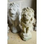 A pair of reconstituted stone seated lion garden ornaments, height 56cm