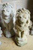 A pair of reconstituted stone seated lion garden ornaments, height 56cm