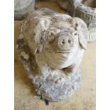 A reconstituted stone seated pig garden ornament, height 38cm