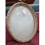 A Victorian oval gilt gesso display frame, width 66cm, height 80cm