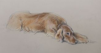 Lucy Dawson (1875-1954), pastel on buff paper, 'Prize Irish Setter', unsigned, title inscribed verso