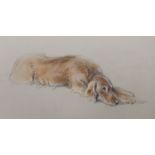 Lucy Dawson (1875-1954), pastel on buff paper, 'Prize Irish Setter', unsigned, title inscribed verso