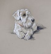 Lucy Dawson (1875-1954), pastel on buff card, 'Posing' portrait of a white terrier, unsigned,