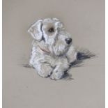 Lucy Dawson (1875-1954), pastel on buff card, 'Posing' portrait of a white terrier, unsigned,