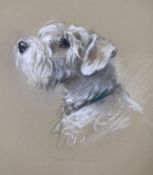 Lucy Dawson (1875-1954), pastel on buff paper, Portrait of a white terrier, 'Bustic', unsigned,