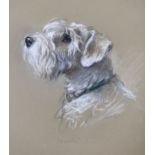 Lucy Dawson (1875-1954), pastel on buff paper, Portrait of a white terrier, 'Bustic', unsigned,