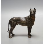 A Viennese cold-painted bronze model of a Great Dane 13.5cm tall, 14cm long