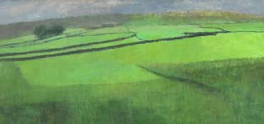 Fred Whitehead, oil on board, Open landscape, 29 x 59cm