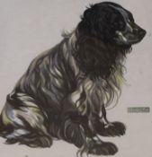 Norbertine Bresslern Roth (Austrian, 1891-1978), coloured wood engraving, Seated spaniel, signed