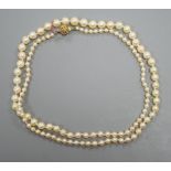 A singe strand graduated cultured pearl necklace with yellow metal clasp, 64cm, gross weight 20.3