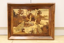 A large framed marquetry ‘peacock’ panel, 52x67cm including frame