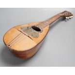 A 19th century mandolin