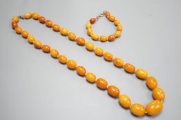 A single strand graduated oval amber bead necklace, 65cm and a similar bracelet, 18cm, gross