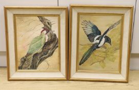 C.R.E. pair of oils on board, Studies of a Green Woodpecker and a Magpie, initialled and dated '