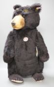 A boxed Steiff Schwarzbar bear,52 cms high.