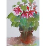 Redmayne, watercolour, Still life of a Begonia in a pot, signed and dated '91, 39 x 29cm