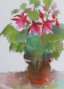 Redmayne, watercolour, Still life of a Begonia in a pot, signed and dated '91, 39 x 29cm