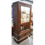 A 19th century French rosewood mirrored armoire, width 10cm depth 43cm height 194cm