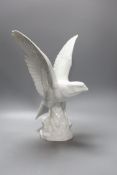 A modern Dresden porcelain model of a perching falcon, 37cm