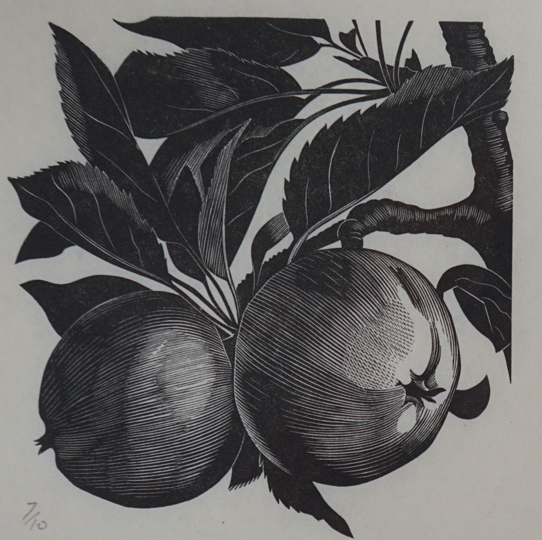 John Farleigh (1900-1965), four woodblock prints, Dhalia, Apples, Yew Trees and another Yew Trees, - Image 3 of 4