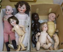 A collection of six 19th and 20th century various dollsincluding Revalo 22-12, AM 370, 340 Dep., A3M