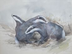 Tim Bramfitt, watercolour, Badgers, illustration for The Domesday Book of Animals, signed, 23 x