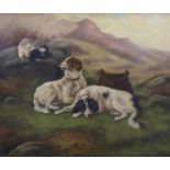 English school, oil on canvas, sporting scene of spaniels in landscape, signed, 49 x 59cm