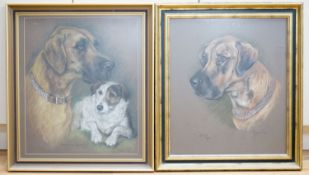 Marjorie Cox (1915-2003), pair of pastels, Portraits of Great Danes and a Terrier, signed and